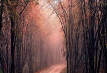 “三大球”坚定信心迎挑战(从杭州亚运会看中国体育③)人民日报海外.