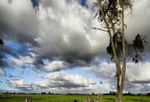 女足门将徐欢社媒晒观看中甲等照片:每天都在青青草地上欢快踏青.