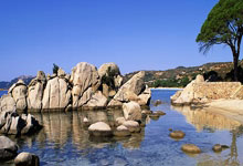 看上去很“开心”,挪超一门将当选全场最佳后获赠4盘鸡蛋.